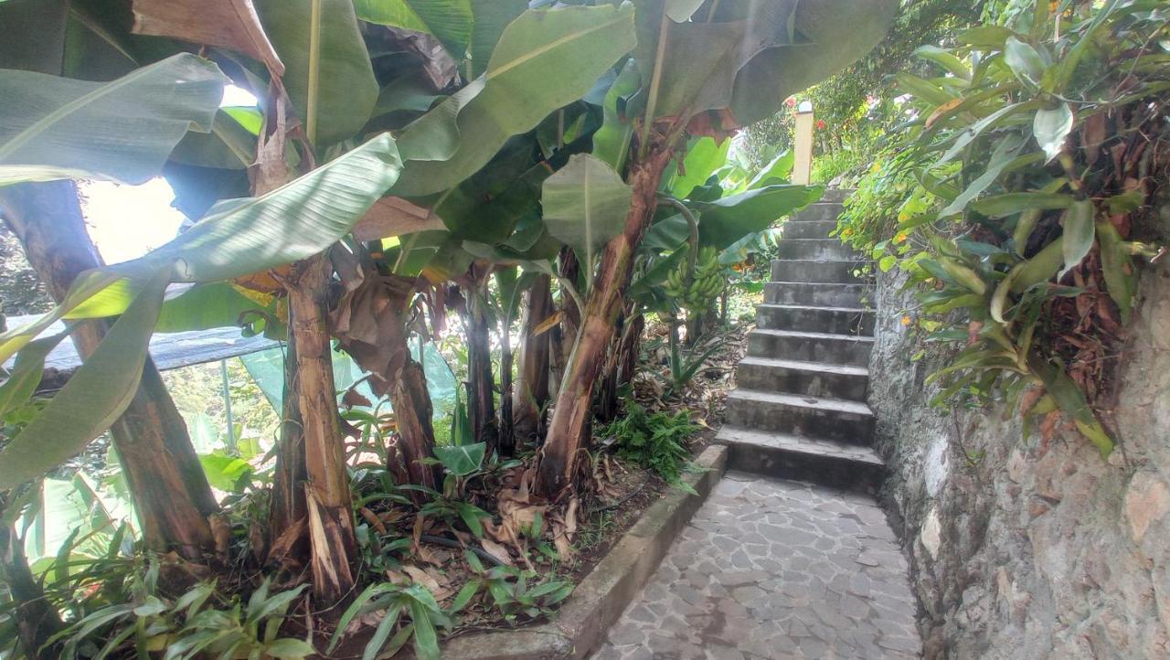Bed and Breakfast Casa Cavoquinho Paul Екстер'єр фото