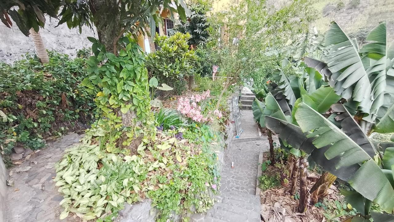 Bed and Breakfast Casa Cavoquinho Paul Екстер'єр фото